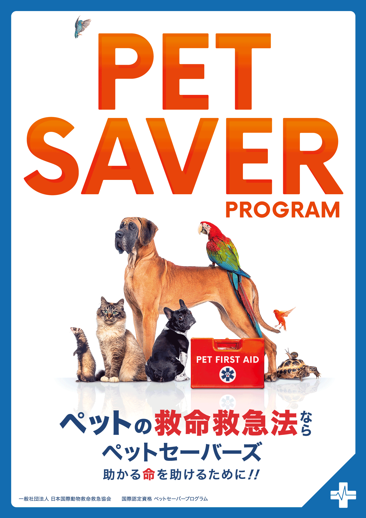 一般向けペットセーバー講習会のチラシ表面