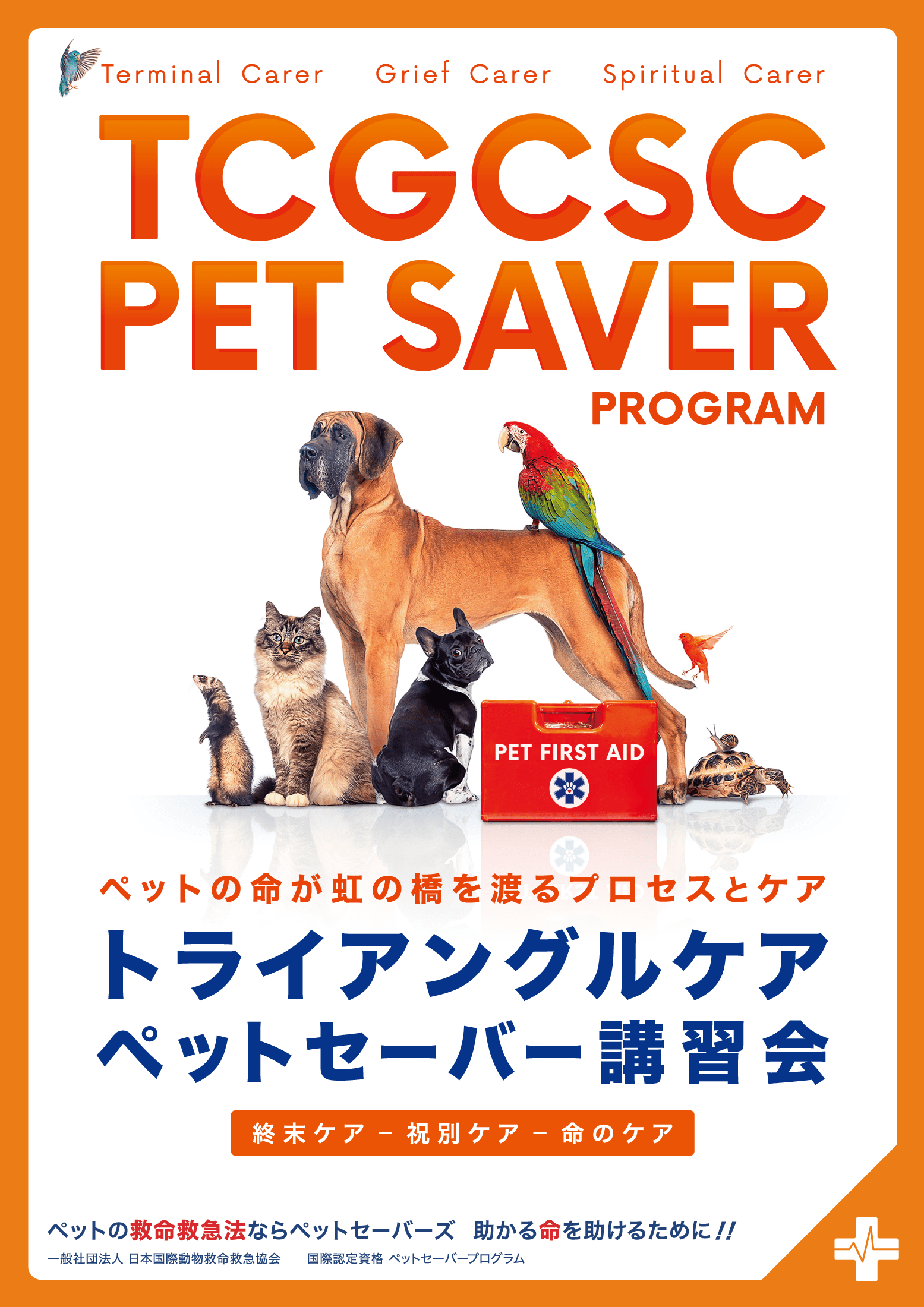 トライアングルケア講習会のチラシ表面