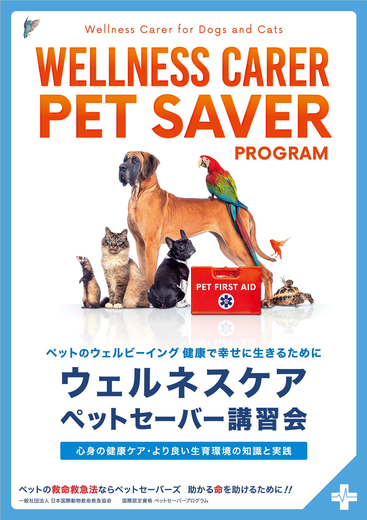 ウェルネスケア講習会のチラシ表面